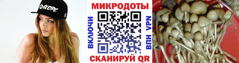 Псилоцибиновые грибы Magic Shrooms  Купить  Алагир 